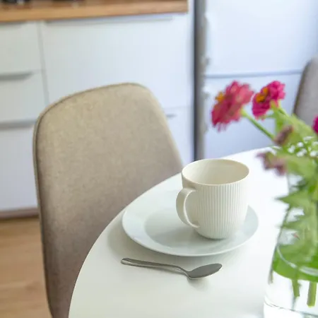 Spacious 2-room With Free Parking And Wi-fi Apartment Kuopio