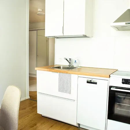 Spacious 2-room With Free Parking And Wi-fi Apartment Kuopio