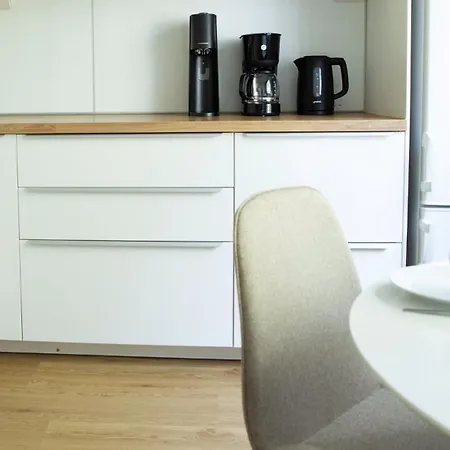 Spacious 2-room With Free Parking And Wi-fi Kuopio