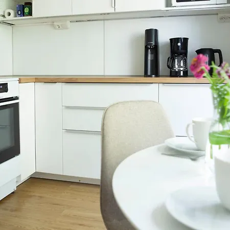 Spacious 2-room With Free Parking And Wi-fi Kuopio