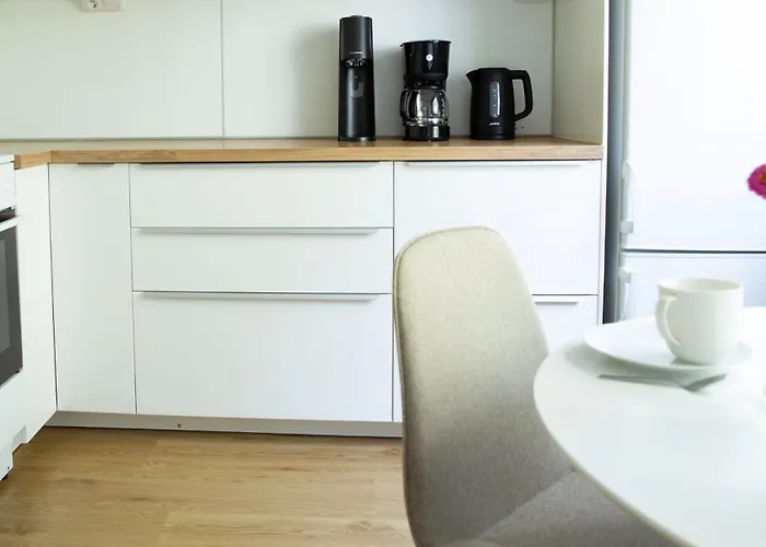 Spacious 2-room With Free Parking And Wi-fi Kuopio