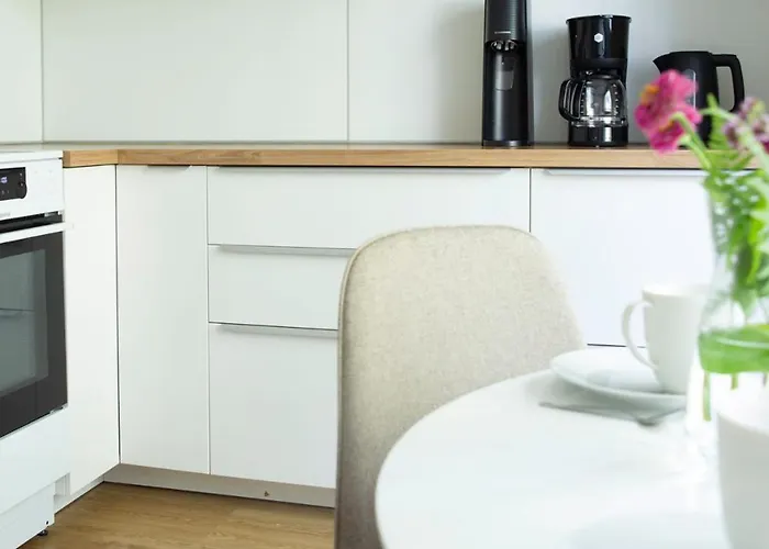 Spacious 2-room With Free Parking And Wi-fi Kuopio